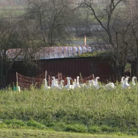 4****ferienwohnung Haus Naturblick Ebermannstadt
